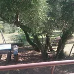 Juretic Apartament *