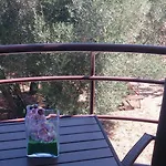 Juretic Apartament Drenje (Istria)
