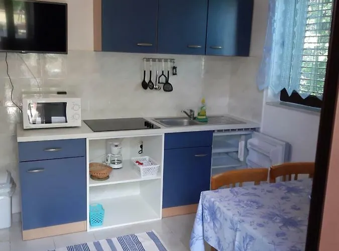 Διαμέρισμα Juretic Drenje (Istria)