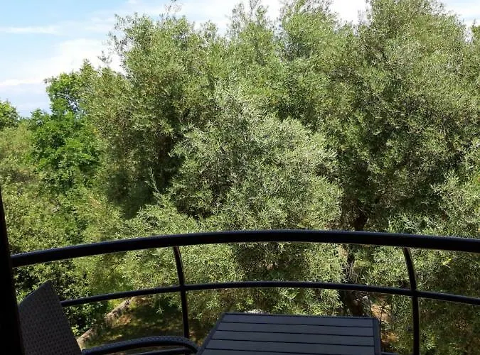 Juretic Drenje (Istria)